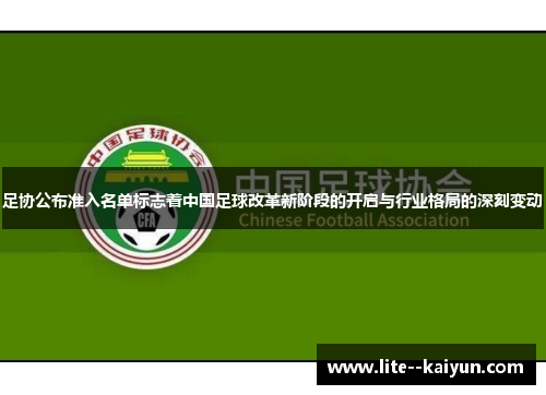 足协公布准入名单标志着中国足球改革新阶段的开启与行业格局的深刻变动