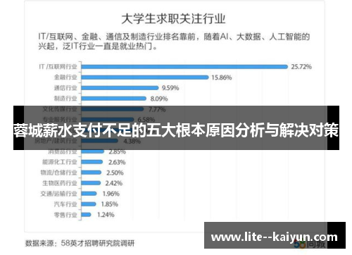 蓉城薪水支付不足的五大根本原因分析与解决对策 蓉城薪水支付不足的五大根本原因分析与解决对策