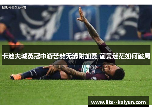 卡迪夫城英冠中游苦熬无缘附加赛 前景迷茫如何破局 卡迪夫城英冠中游苦熬无缘附加赛 前景迷茫如何破局