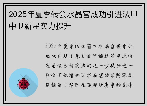 2025年夏季转会水晶宫成功引进法甲中卫新星实力提升 2025年夏季转会水晶宫成功引进法甲中卫新星实力提升