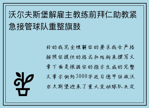 沃尔夫斯堡解雇主教练前拜仁助教紧急接管球队重整旗鼓